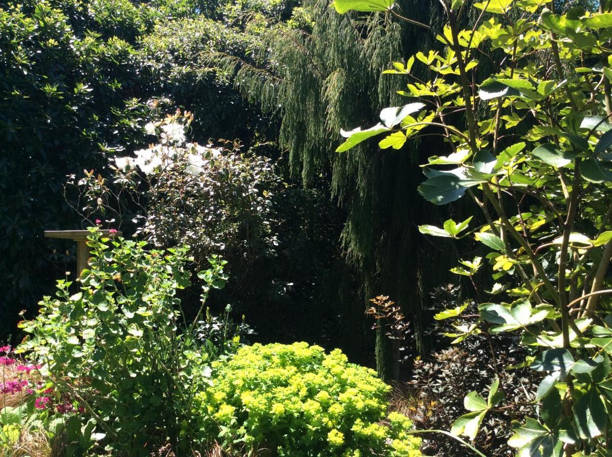 Hadley Close Dunedin Dış mekan fotoğraf